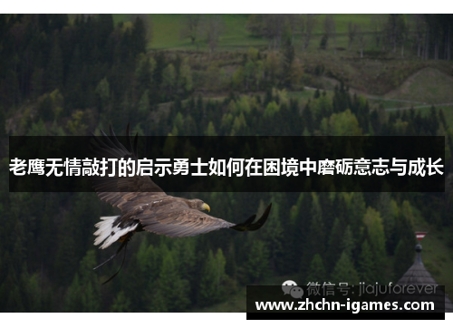 老鹰无情敲打的启示勇士如何在困境中磨砺意志与成长